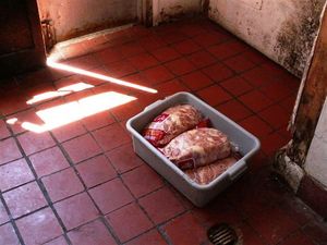 Thumbnail image for raw meat.jpg